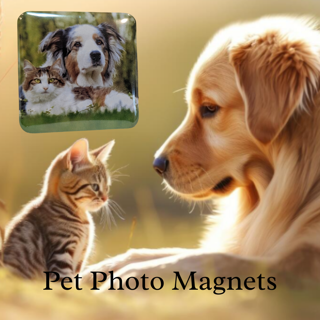Pet photo magnets shown with a golden retriever and a kitten, and a photo magnet of a dog and cat.
